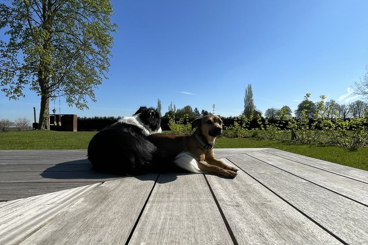 Houten terras in vergrijsd hout met zicht op de tuin