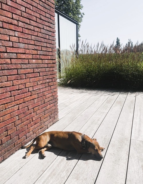 Realisatie: aangelegd houten terras